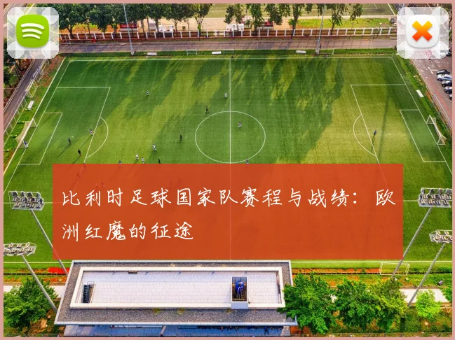 比利时足球国家队赛程与战绩：欧洲红魔的征途