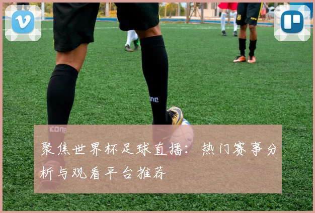 聚焦世界杯足球直播：热门赛事分析与观看平台推荐