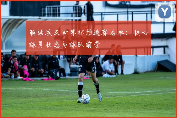 解读埃及世界杯预选赛名单：核心球员状态与球队前景