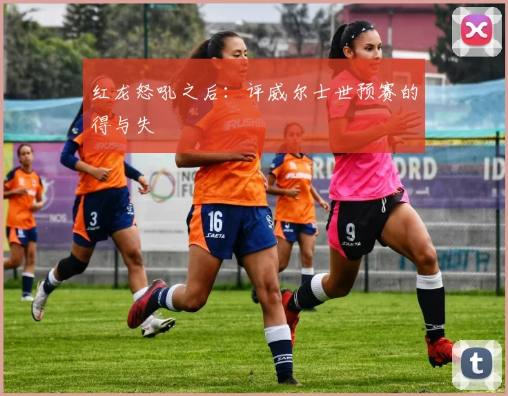 红龙怒吼之后:评威尔士世预赛的得与失