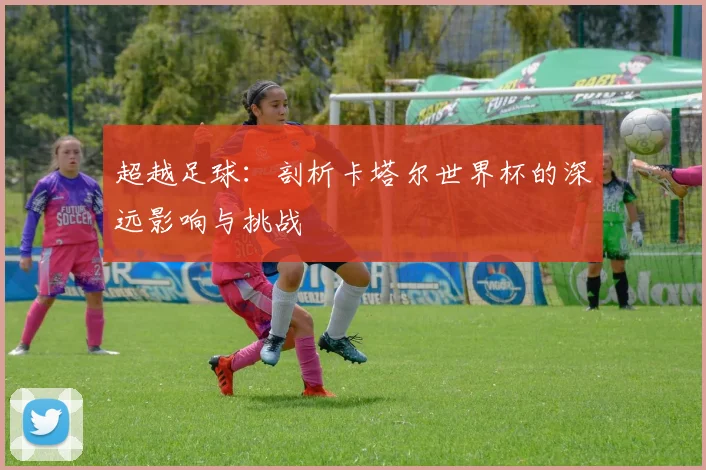 超越足球：剖析卡塔尔世界杯的深远影响与挑战